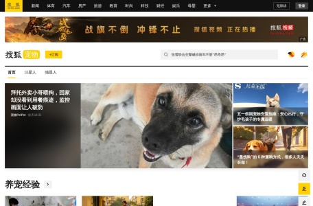 搜狐宠物