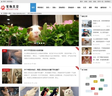 宠物天空网