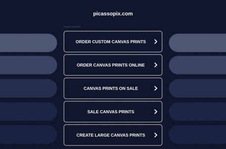 PicassoPix