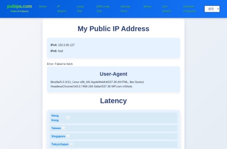 公网IP地址查询