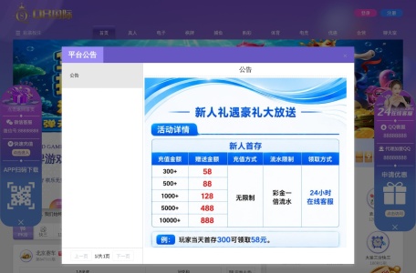 Q8国际