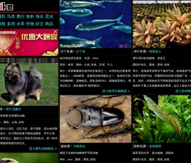 Sbike动植物百科网