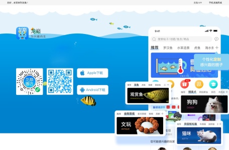 龙巅水草