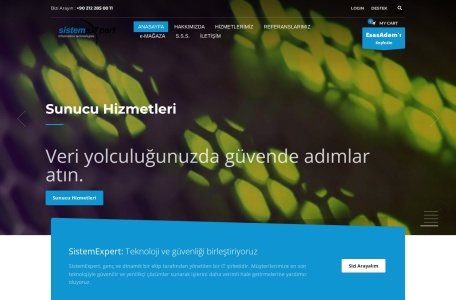 Sistem Expert