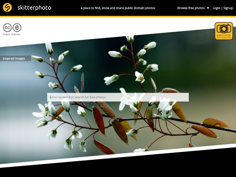 skitterphoto
