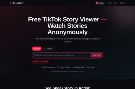 TikTok Story Viewer