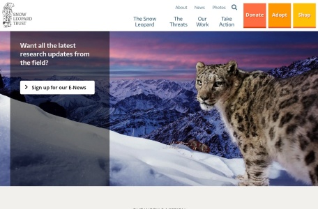 国际雪豹基金会