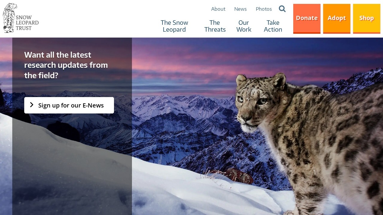 国际雪豹基金会