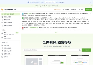 全网视频解析下载