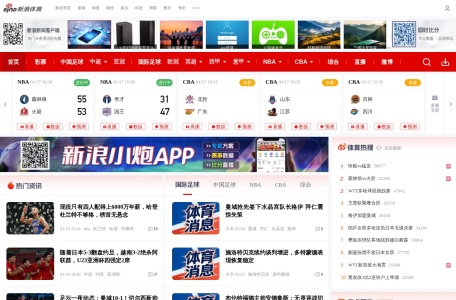 新浪体育