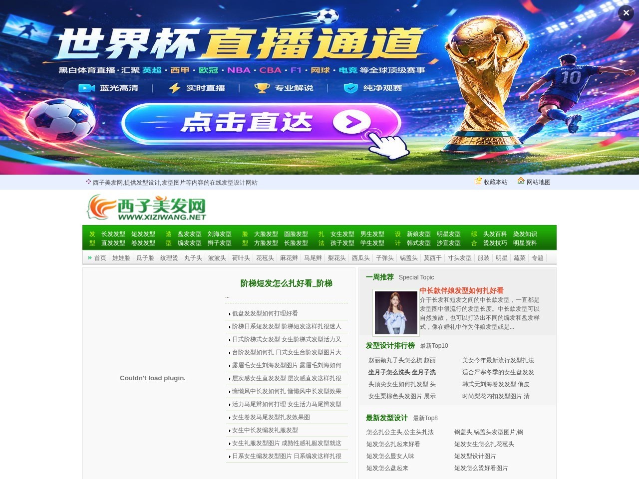 大明星网