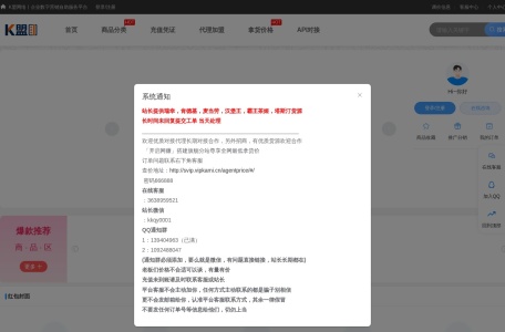 K盟网络