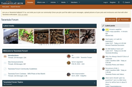 Tarantula Forum