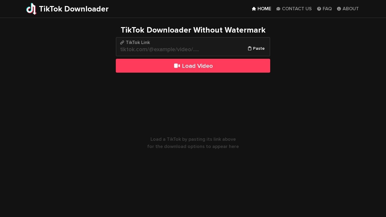 TikTok Downloader