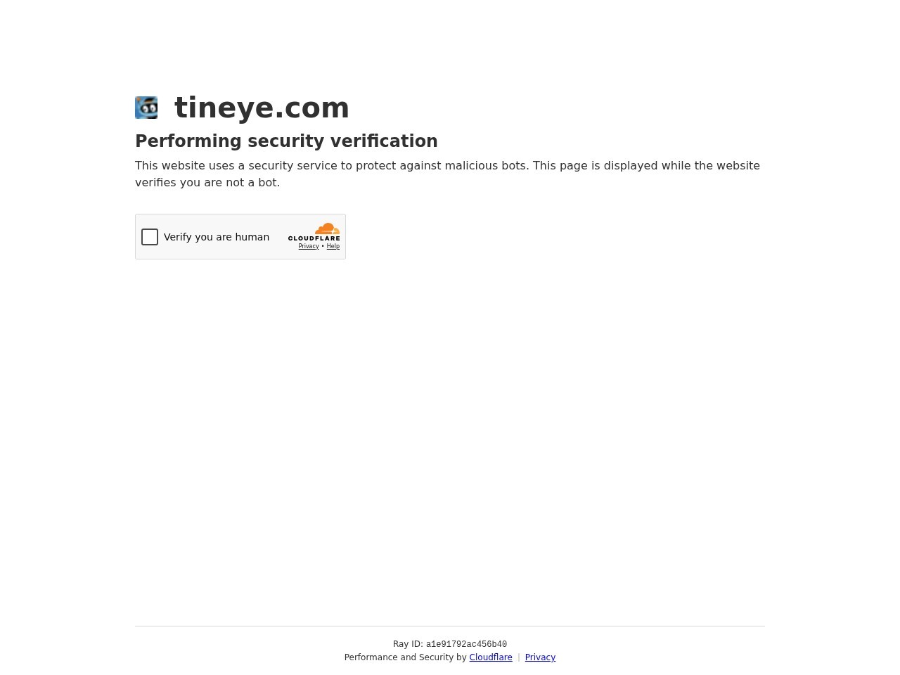 TinEye