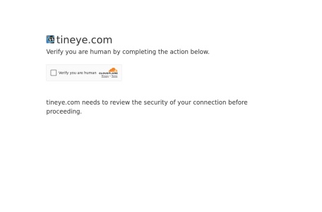 TinEye Reverse Image Search