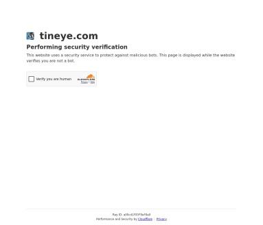 TinEye