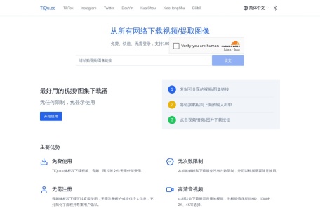 全网视频/图集提取 TikTok