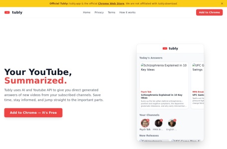 Tubly: YouTube视频摘要助手
