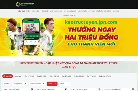 Valuemetrix翻译站点