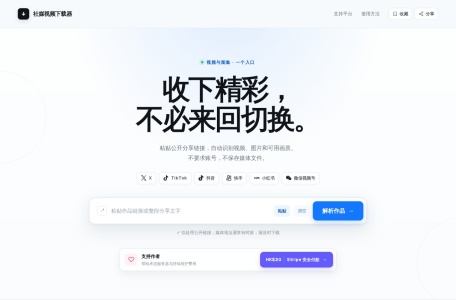 社媒视频下载器 — 六大平台，一个入口官网,一款免费免登录的在线媒体解析工具，支持抖音、快手、小红书、微信视频号及TikTo