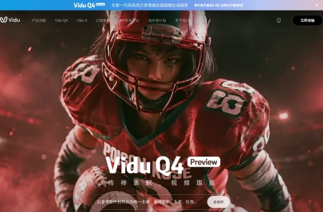 Vidu