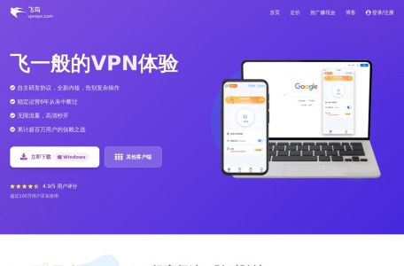 飞鸟VPN加速器