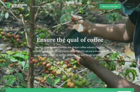 World Coffee Research