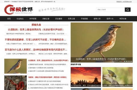 探秘世界