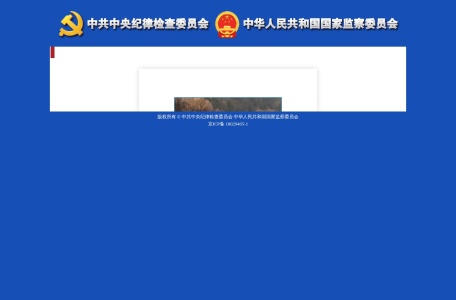 中央纪委国家监委举报网站
