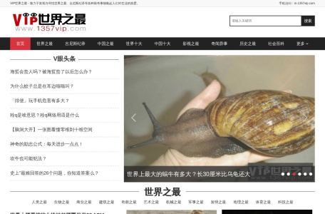VIP世界之最