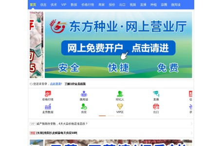 国际大蒜贸易网