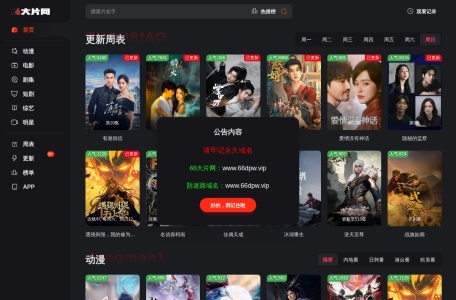 66大片网