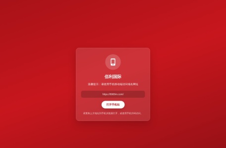 佰利国际