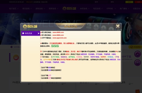 娱乐城