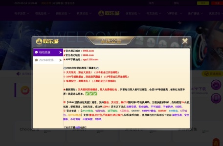 娱乐城