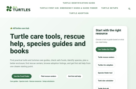 AllTurtles.com