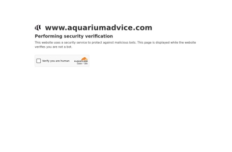 aquariumadvice