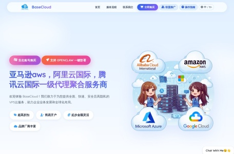 BaseCloud | 来自新加坡的专业VPS聚合平台