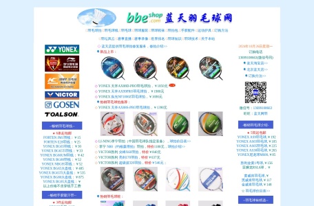 蓝天羽毛球网