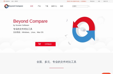 Beyond Compare 4中文版