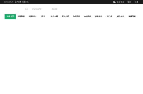 鸟网首页