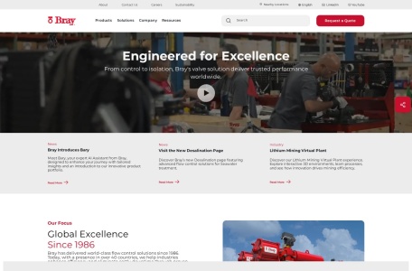 Bray International – 全球领先的流量控制解决方案制造商