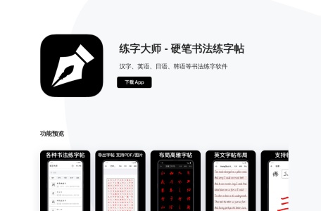 练字大师