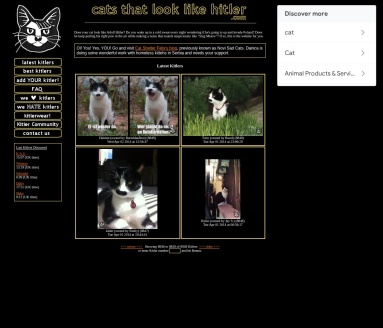 cats that look like hitler
