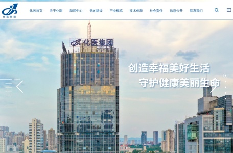 重庆化医控股（集团）公司