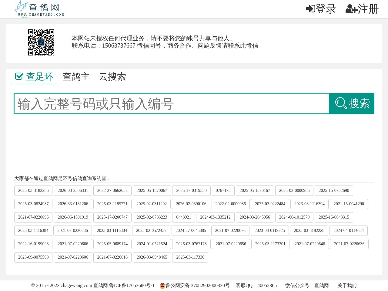 查鸽网