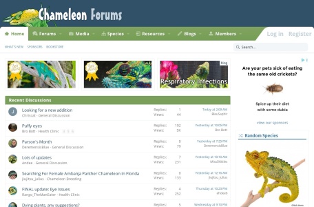 Chameleon Forums