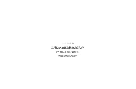 胜利仪器 VICTOR