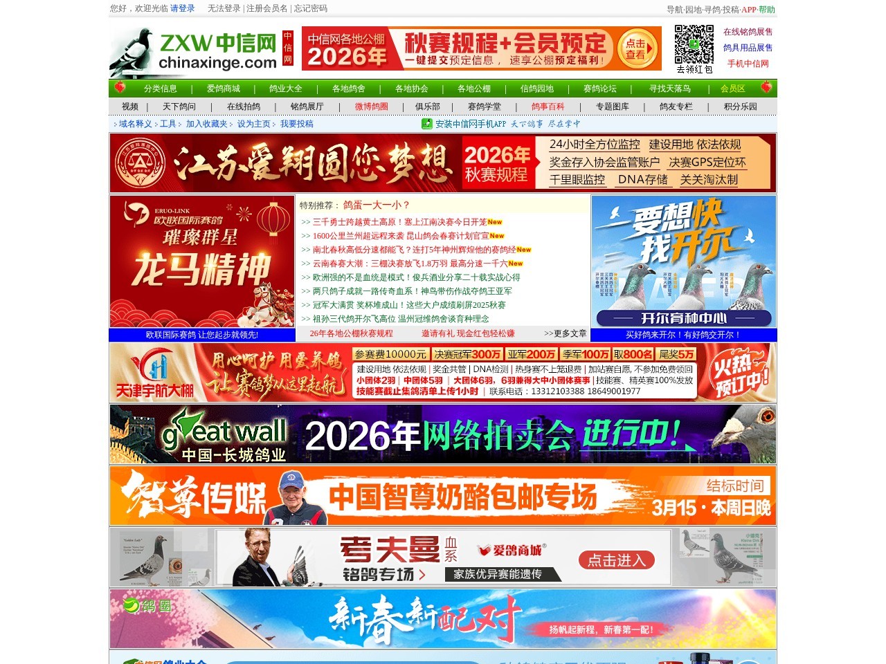 中信网-信鸽信息网